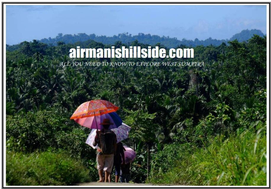 Air Manis Hillside Villa Cafe & Resto Padang  Esterno foto